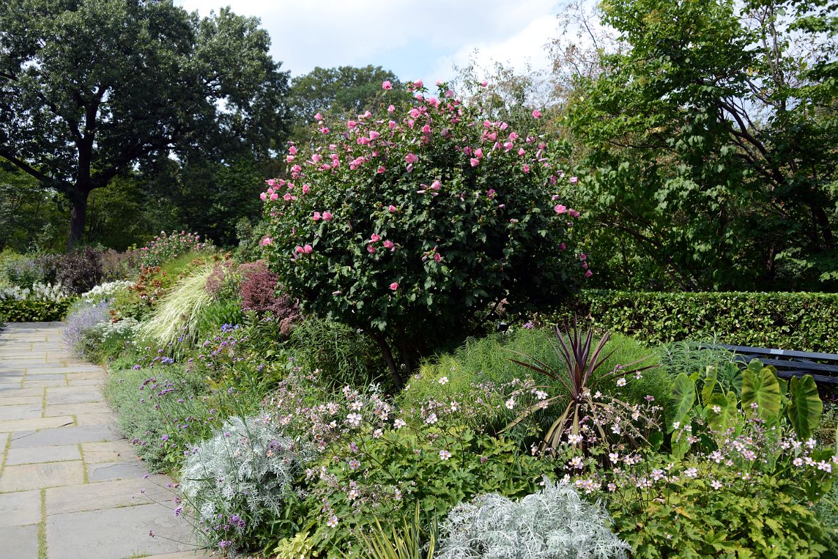 35I Flowers In South Conservatory English Garden In Central Park East 104 St